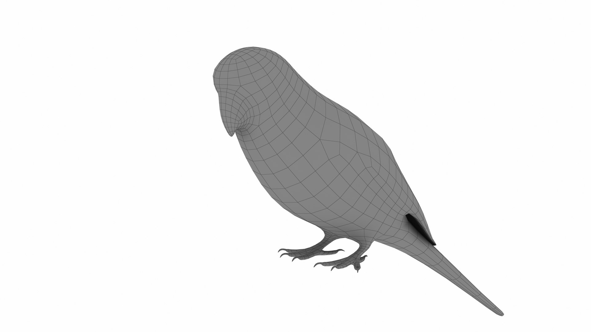 Budgie Green 3D model https://p.turbosquid.com/ts-thumb/KF/SADxX8/P4/budgie7/jpg/1735463212/1920x1080/fit_q87/a7c0fc9d3ceedafdc068260ae61cd8347b1182fd/budgie7.jpg