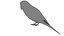 Budgie Green
