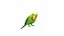 Budgie Green
