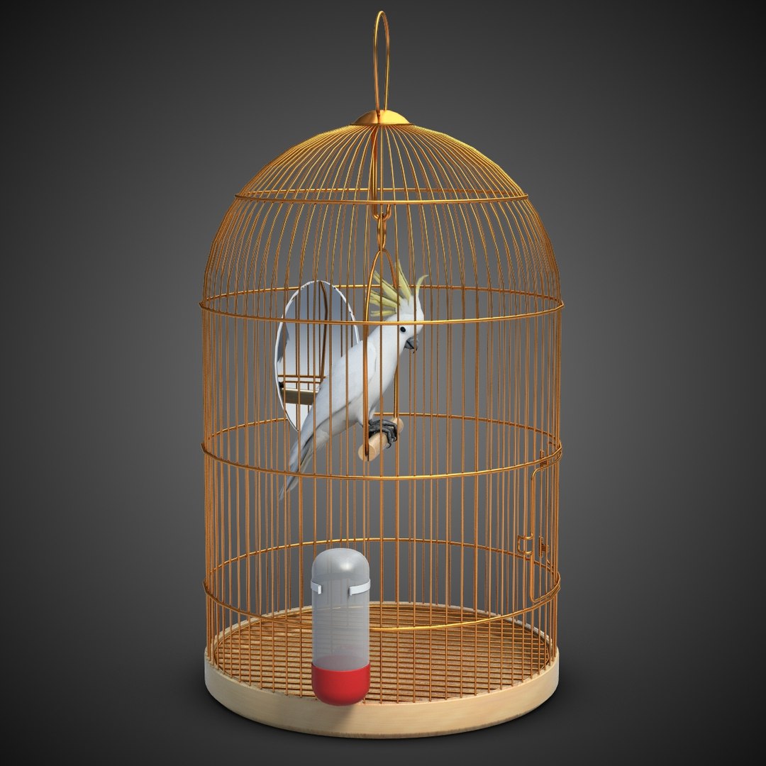 parrot birdcage max