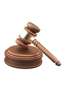 3D model Consumer Rights Day 315