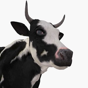 cow 3D