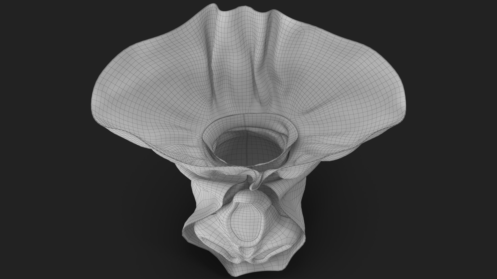 3D Ghostface Mask with Hood 2 model https://p.turbosquid.com/ts-thumb/KF/sfOeRw/YD/wireframe_18/jpg/1719908903/1920x1080/fit_q87/9944ba555fc26d1129fc845066dd06304d63db82/wireframe_18.jpg