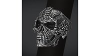 Skull Ring Biomechanics print