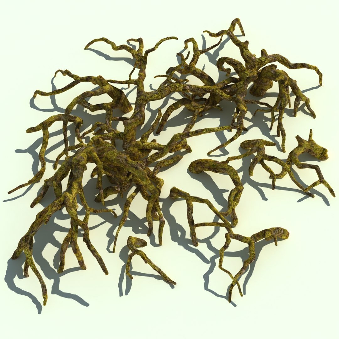 3d Roots 2
