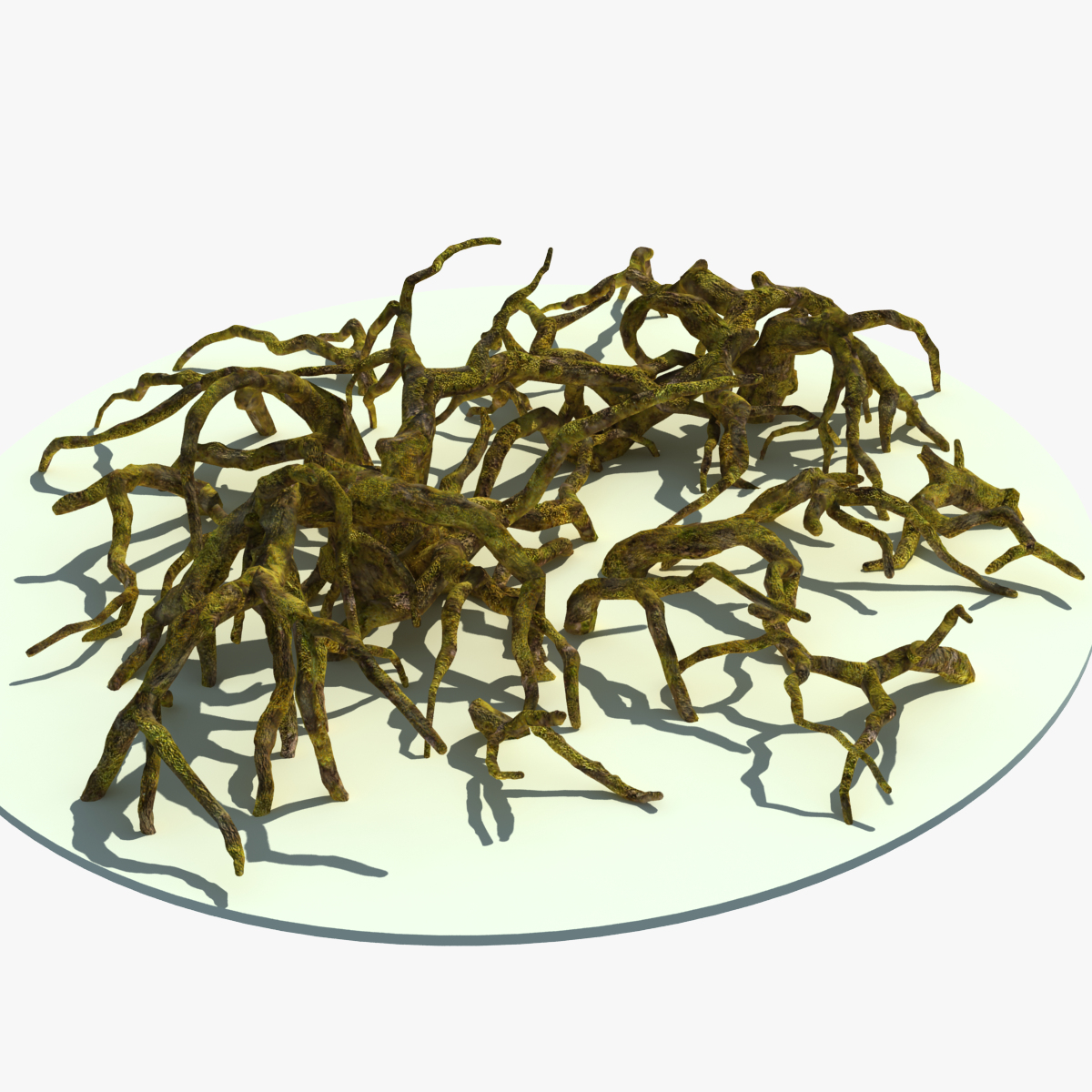 3d roots 2