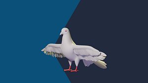 Pigeon 3D Cartoon Rigged Model - Blender