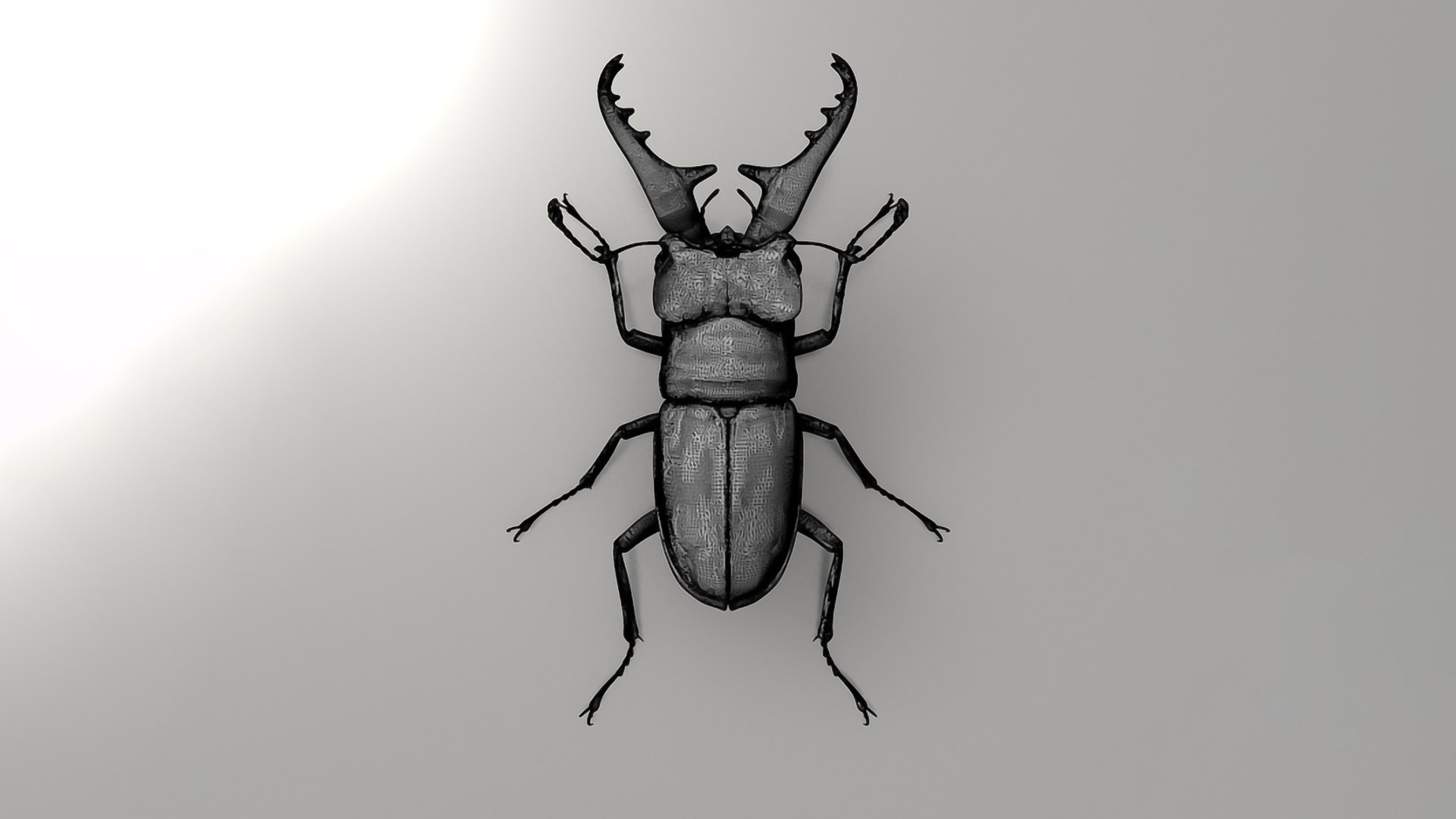 Realistic Insects Pack - Volume 03 3D Model - TurboSquid 2377061