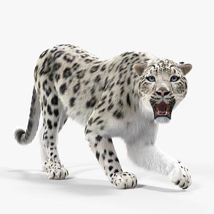 3D snow leopard fur rigged