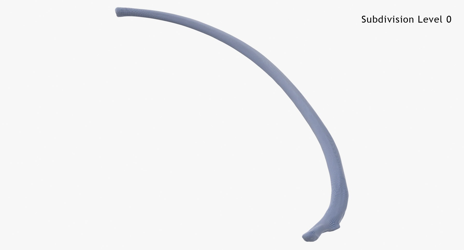 3D Bear Ursus Rib T10 - TurboSquid 2163641