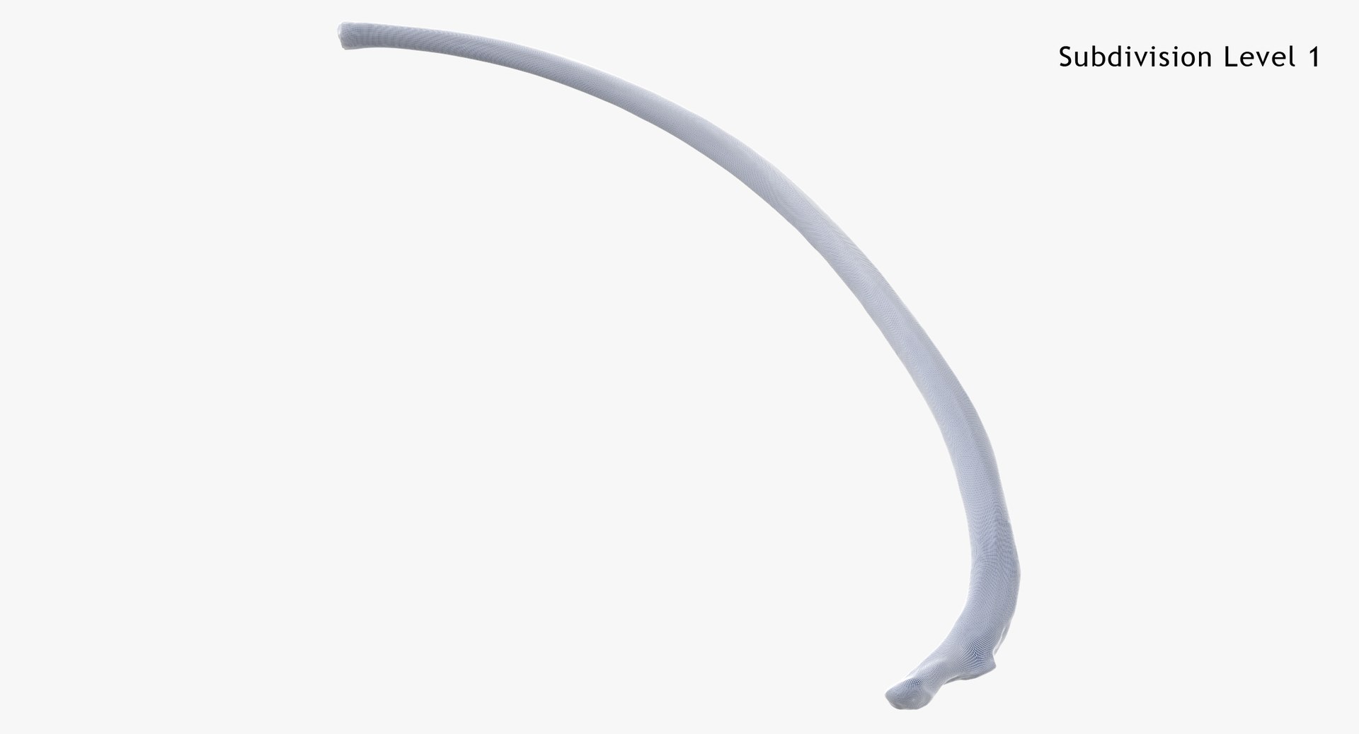 3D Bear Ursus Rib T10 - TurboSquid 2163641