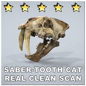 SABERTOOTH CAT SMILODON SCAN SKULL