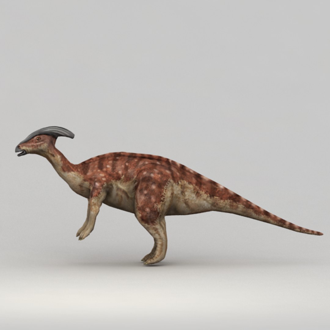 max rigged parasaurolophus https://p.turbosquid.com/ts-thumb/KH/AVFhhJ/UKM5BBob/v4/png/1378877497/1920x1080/fit_q87/b01920fa5548676b960e118ff3c648c00f56ed1f/v4.jpg