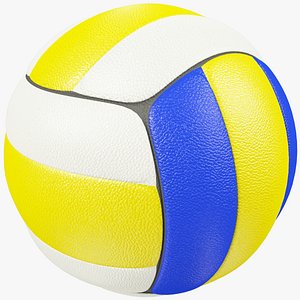 Volleyball Ball 3D Models for Download | TurboSquid