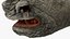 Adult Rhino Head Fur
