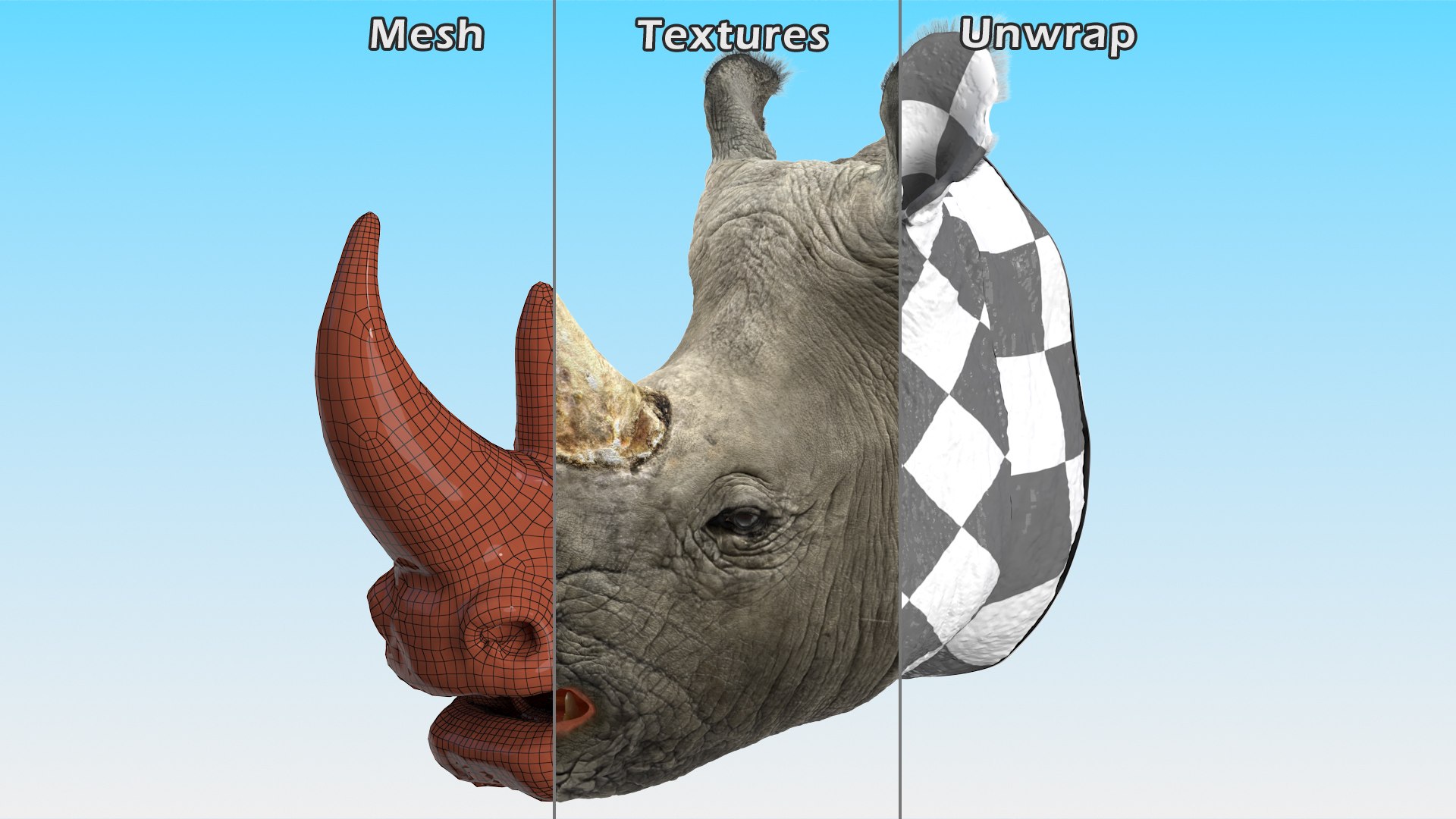 adult rhino head fur 3D model https://p.turbosquid.com/ts-thumb/KH/LXPIBp/7wk3AlCr/adultrhinoheadfurmb3dmodel013/jpg/1609941834/1920x1080/fit_q87/f75f54b295af819361f3b13e38684a9d201dfc5b/adultrhinoheadfurmb3dmodel013.jpg