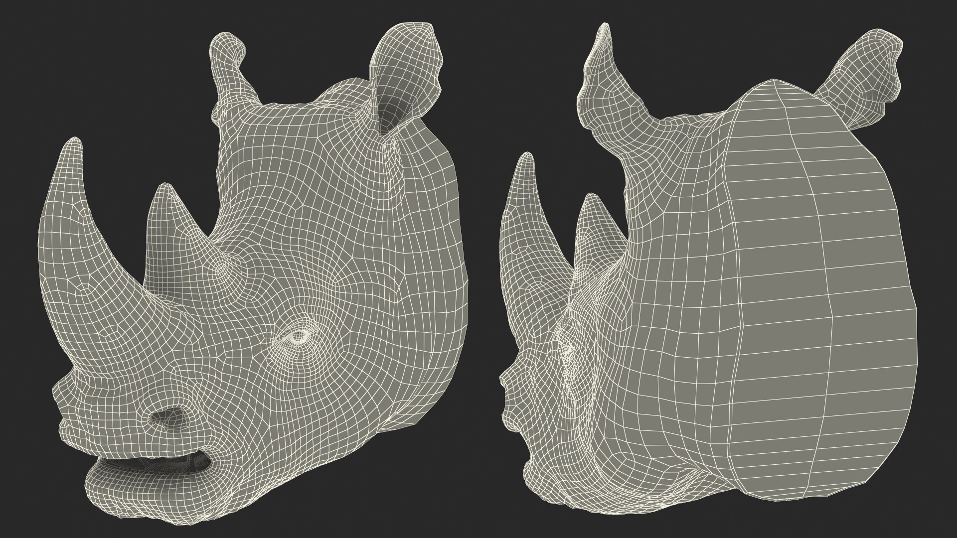 adult rhino head fur 3D model https://p.turbosquid.com/ts-thumb/KH/LXPIBp/IRDpMmHD/adultrhinoheadfurmb3dmodel019/jpg/1609941857/1920x1080/fit_q87/8c491a22620ddbb339339d7dd543cfab7bb3fc1c/adultrhinoheadfurmb3dmodel019.jpg