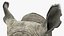 Adult Rhino Head Fur