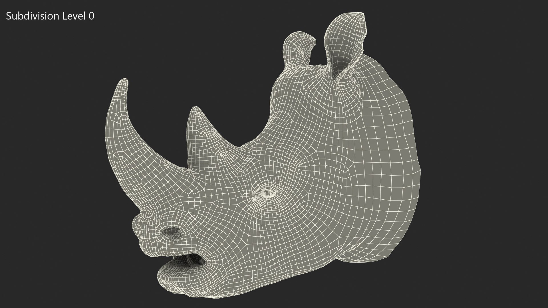adult rhino head fur 3D model https://p.turbosquid.com/ts-thumb/KH/LXPIBp/MQYomnRL/adultrhinoheadfurmb3dmodel014/jpg/1609941838/1920x1080/fit_q87/7a1db504c45af982a9b22a37559ffc6fa4581355/adultrhinoheadfurmb3dmodel014.jpg