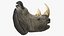 Adult Rhino Head Fur