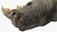 Adult Rhino Head Fur