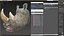Adult Rhino Head Fur