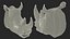 Adult Rhino Head Fur