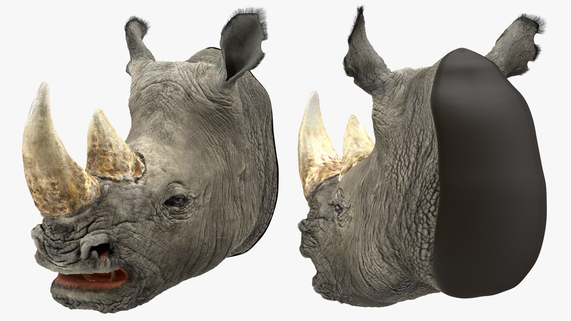 Adult Rhino Head Fur 3D model preview