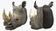 Adult Rhino Head Fur
