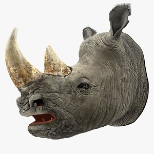 adult rhino head fur 3D model