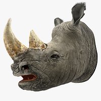 Adult Rhino Head Fur