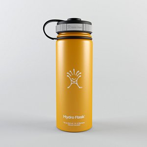 Flask Insulated Water Bottle - 18 oz Wide - Hydro