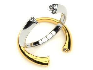 3d model 0005 ring -