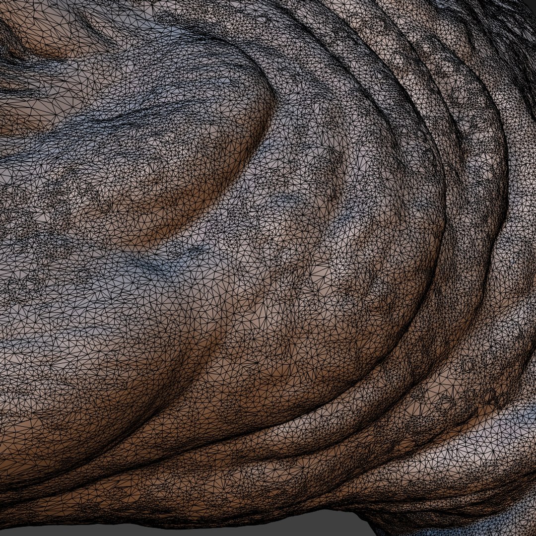rhino head 3D model https://p.turbosquid.com/ts-thumb/KH/nplrA0/HQprDOu1/8/jpg/1506846264/1920x1080/fit_q87/2c953070bef1a24b8bfef5bab35c51413ec863b1/8.jpg