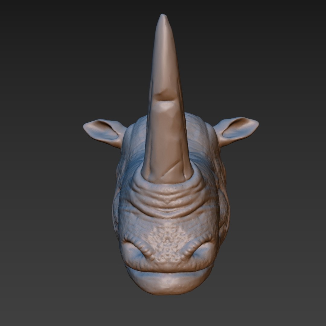rhino head 3D model https://p.turbosquid.com/ts-thumb/KH/nplrA0/MbN1VKH6/2/jpg/1506846264/1920x1080/fit_q87/2061b168b30d7312c15e32ab6e59450a27e7b59e/2.jpg