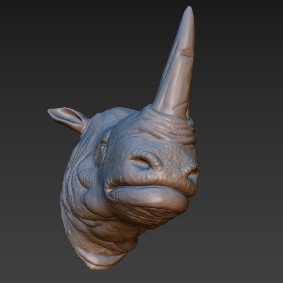 rhino head 3D model https://p.turbosquid.com/ts-thumb/KH/nplrA0/O5YzCckA/5/jpg/1506846264/1920x1080/fit_q87/fd430f5804f393d18bea84b44b09a0e025fd7be1/5.jpg