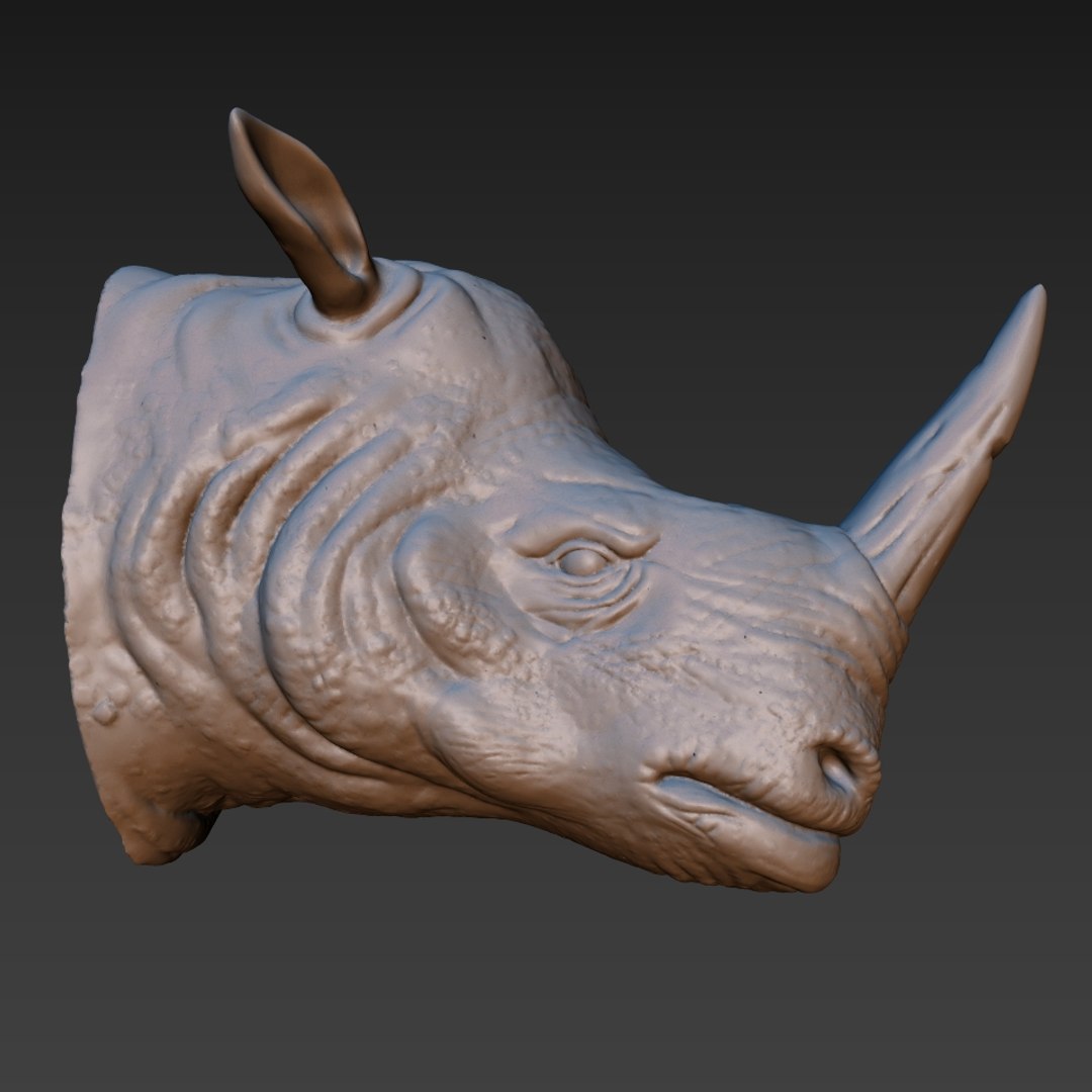 rhino head 3D model https://p.turbosquid.com/ts-thumb/KH/nplrA0/ZlHzLXw1/4/jpg/1506846264/1920x1080/fit_q87/a25824ebe200c4ae823c6f5ac18d3a533fd6cfd3/4.jpg