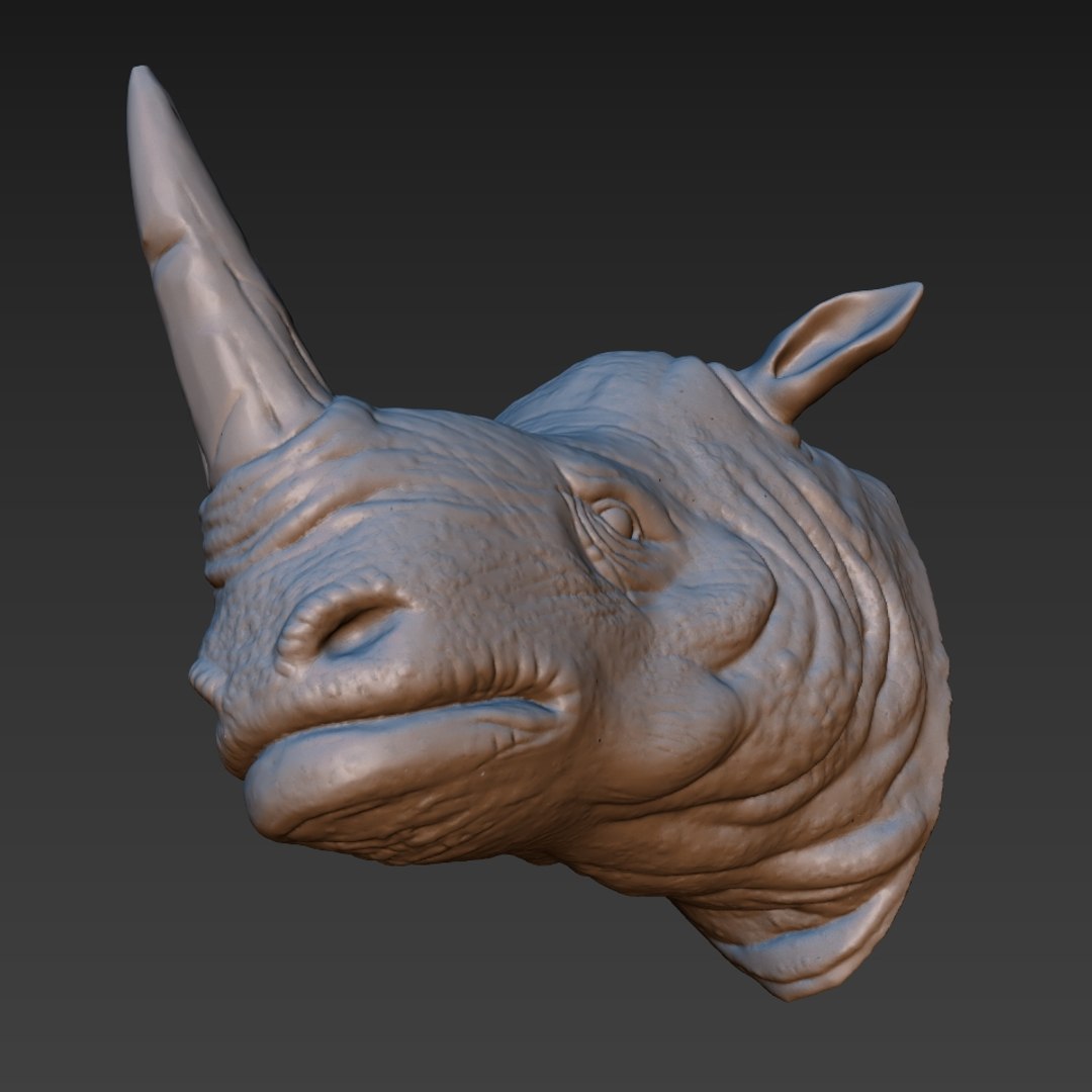 rhino head 3D model https://p.turbosquid.com/ts-thumb/KH/nplrA0/f9Q0uG68/6/jpg/1506846264/1920x1080/fit_q87/97ebfbd50b329865430b6f23999e64824b3c68b1/6.jpg