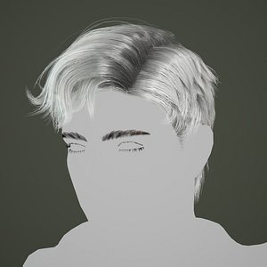 3D model hairstyle hair wavy male