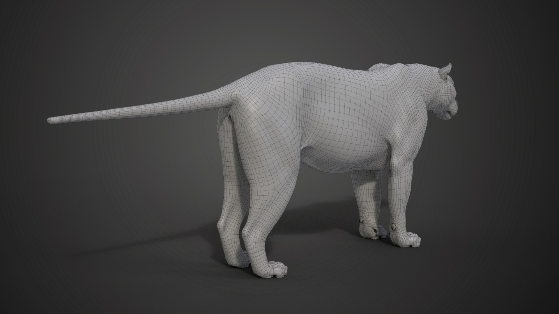 Siberian tiger - 3D model by Sarma (@mpotran) [7e49ec0]