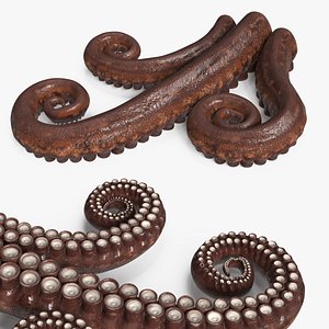 Marine Octopus Tentacles Curled 3D model
