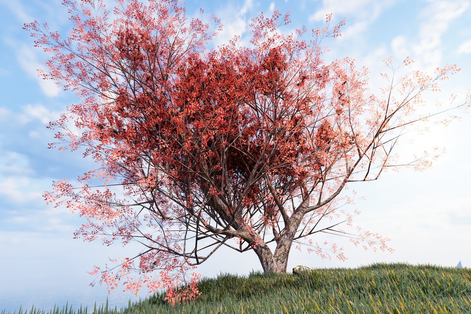 3D Maple tree 01 model https://p.turbosquid.com/ts-thumb/KH/tRahJg/VT/z02/png/1720023570/1920x1080/fit_q87/740277ade78a62694b16ab8a3122abe81748d856/z02.jpg