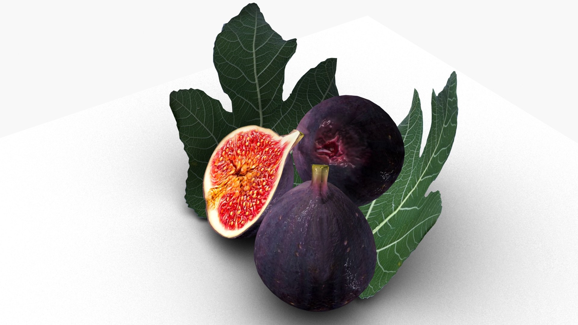 Fig 3D model https://p.turbosquid.com/ts-thumb/KI/3ij0wz/5l/ps2/jpg/1696756891/1920x1080/fit_q87/a7fdfaea751b685fb39d3a0ff31bc0bab3c9b0f1/ps2.jpg