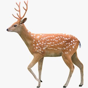 Deer Rigged Fur 3D