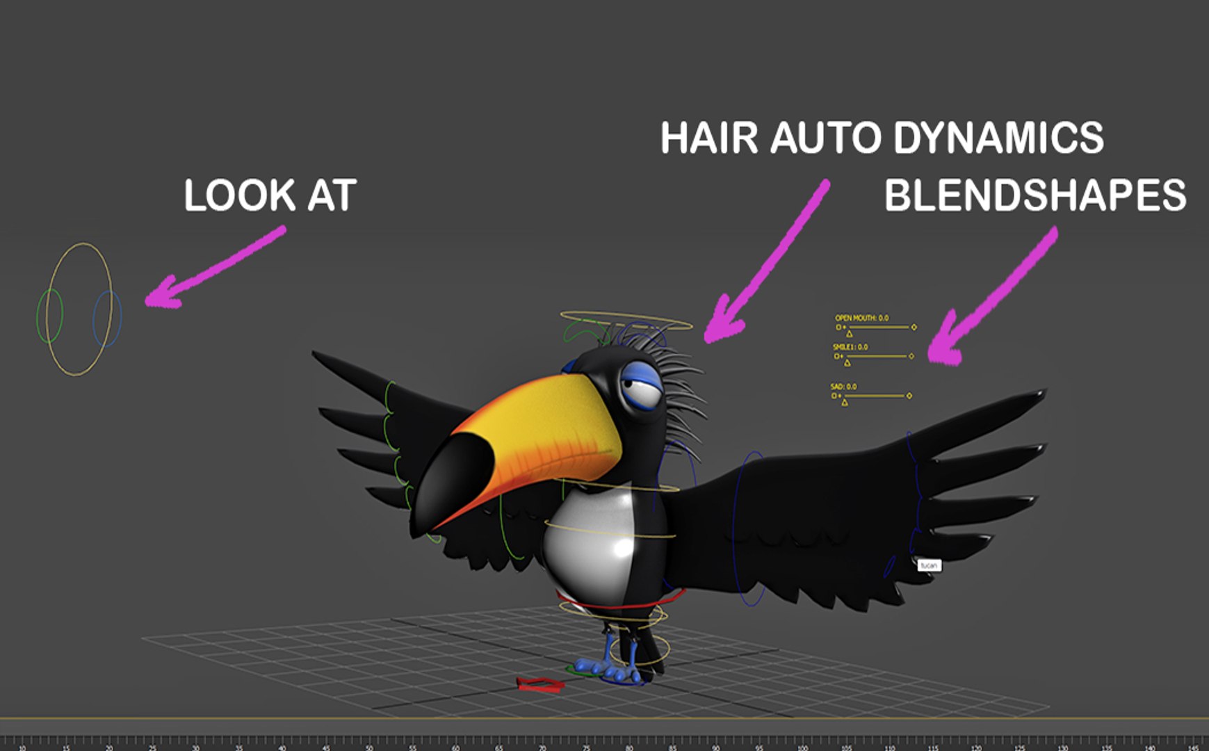 3D TUCAN CARTOON RIG - TurboSquid 2300059