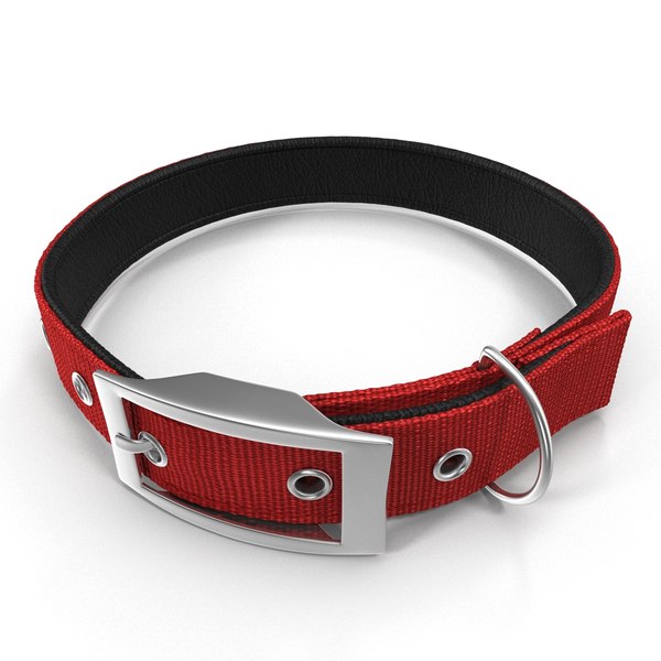 dog collars modeled 3d model