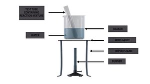 Formation Ester model