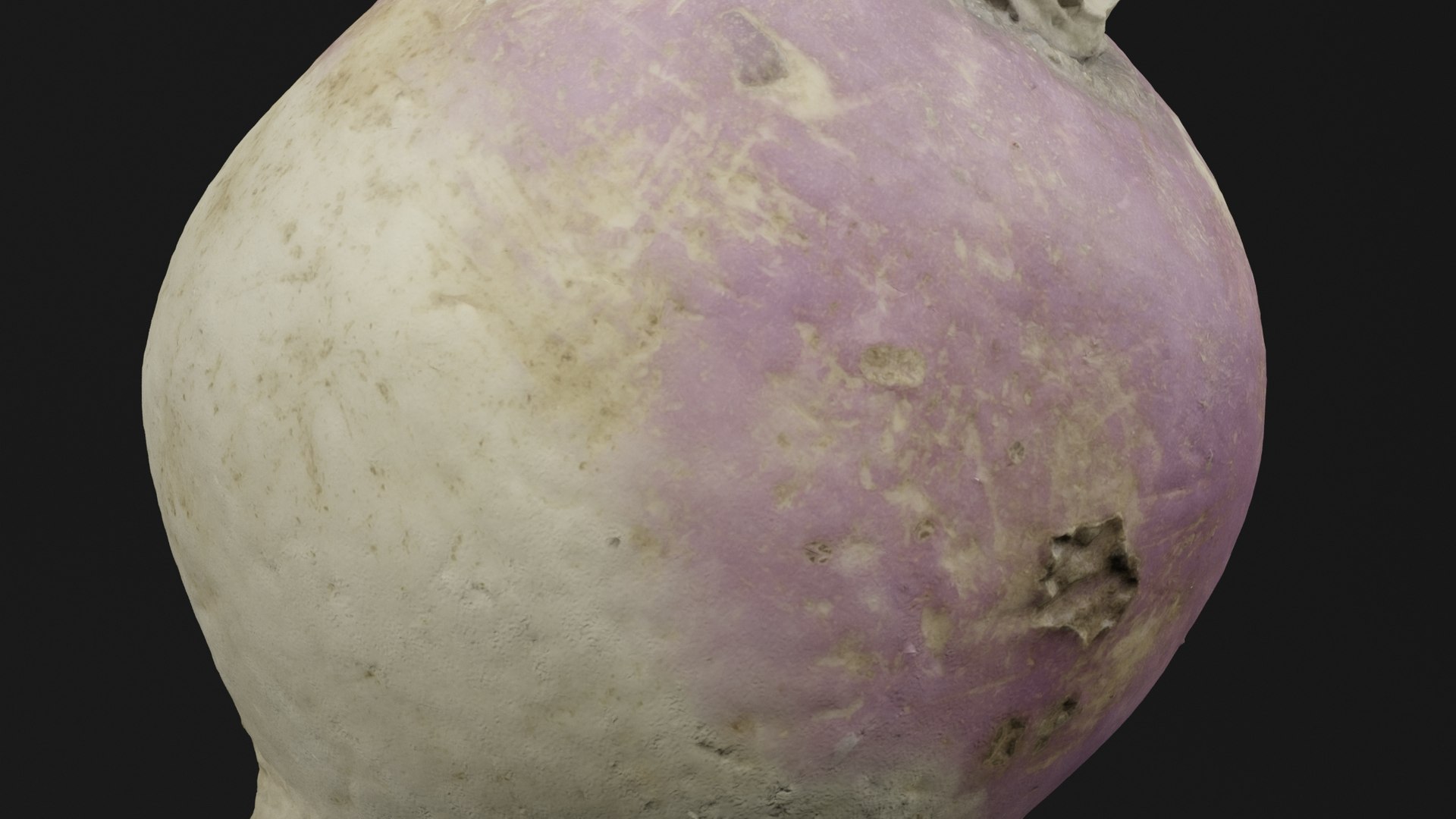 3D Turnip - TurboSquid 2459590