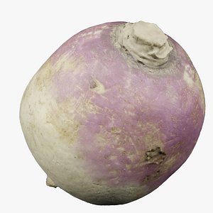 3D Turnip