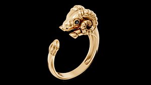 sheep ring model